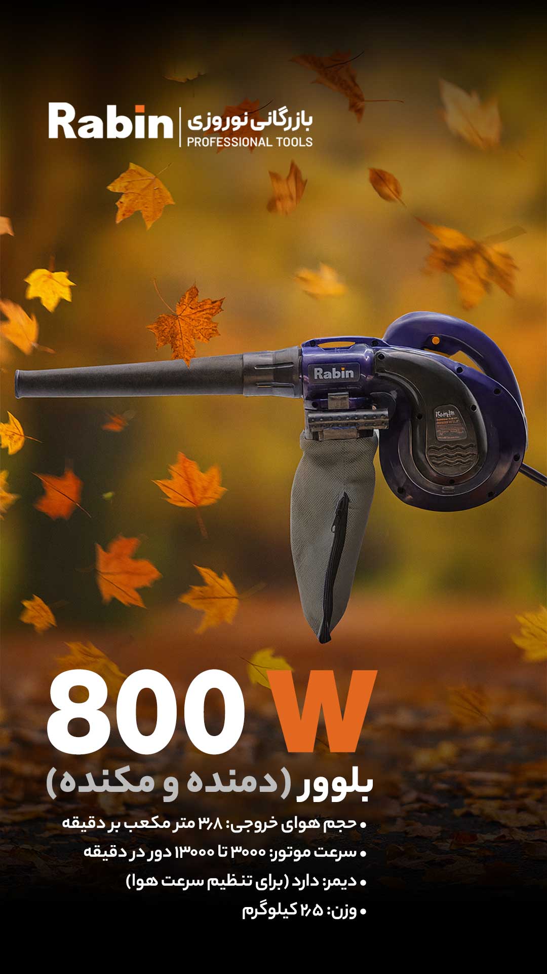 بلوور دمنده و مکنده رابین R6080 با موتور ۸۰۰ وات، ۲ کاره (دمش و مکش) و دارای دیمر. ایده‌آل برای نظافت کارگاه و لوازم الکترونیک. خرید با گارانتی